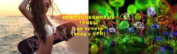 стафф Волосово