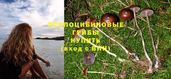 стафф Волосово