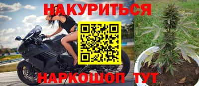 ALPHA PVP Ачхой-Мартан