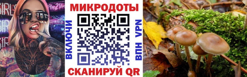 купить закладку  Мончегорск  Галлюциногенные грибы Magic Shrooms 
