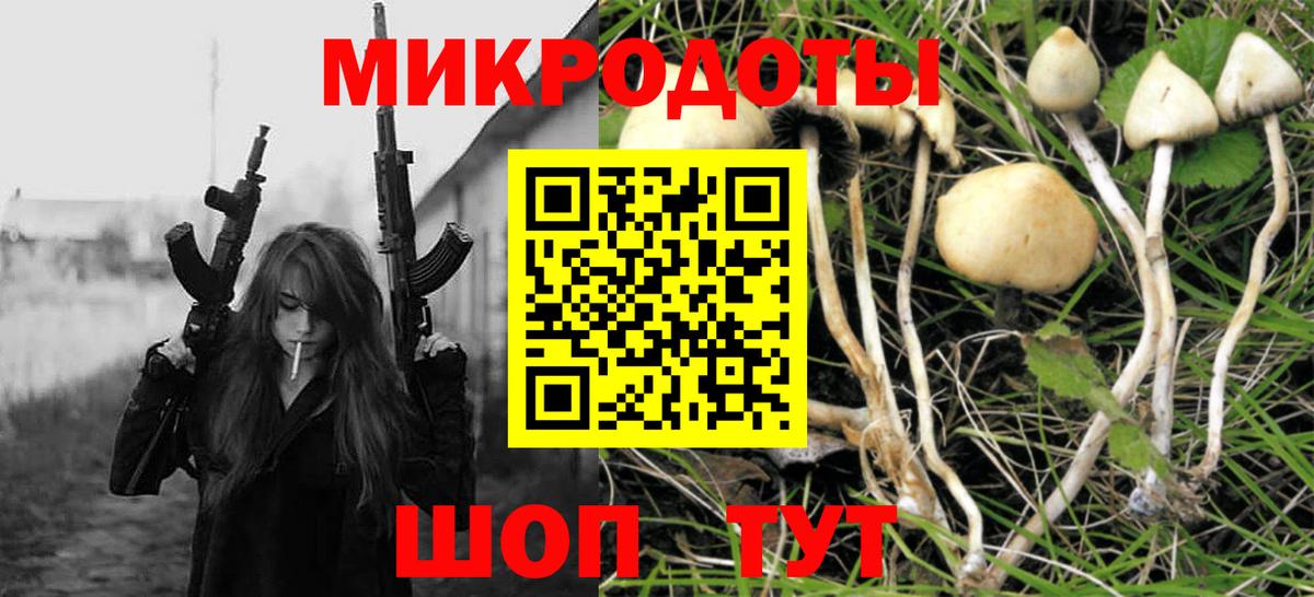 Псилоцибиновые грибы прущие грибы Мончегорск