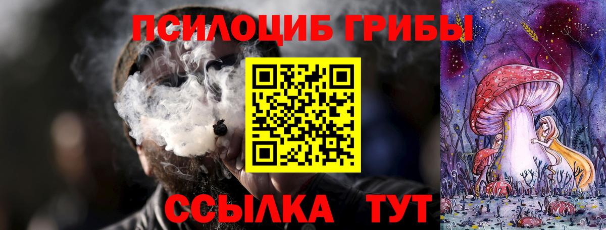 Мончегорск  Псилоцибиновые грибы Magic Shrooms  Вход с VPN 